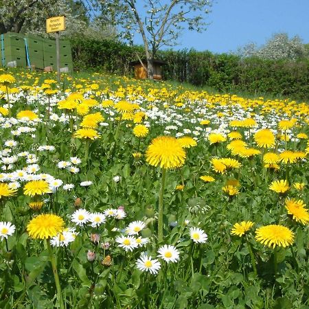 Ferienwohnungen allerleigrün Langenroda Exterior foto