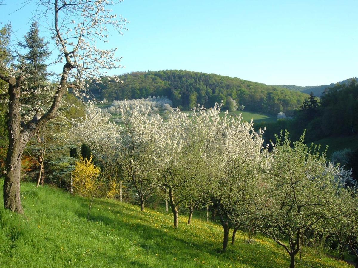 Ferienwohnungen allerleigrün Langenroda Exterior foto